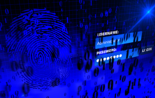 GDPR Compliance Program and DPO Support